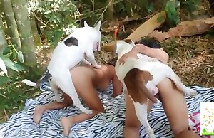 Hai động vật Latinas trong thú tính orgy